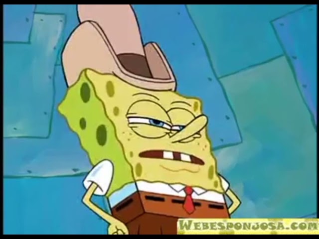 a quien le dices cabeza de pin