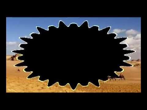 arte basado en la ocupacion armoniosa del espacio