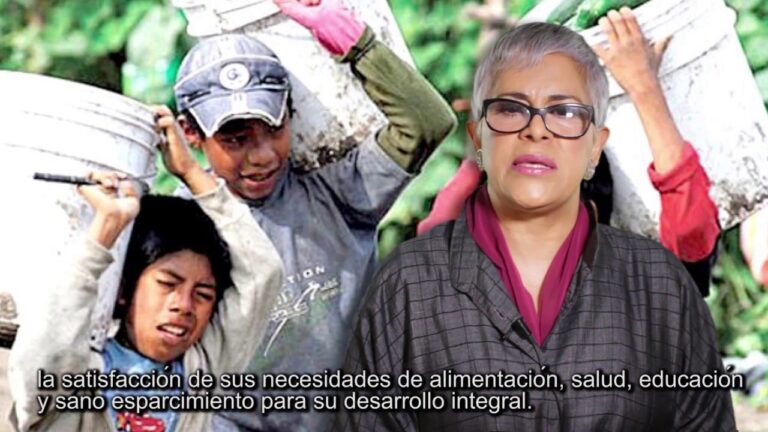 articulo 4 de los derechos humanos mexicanos