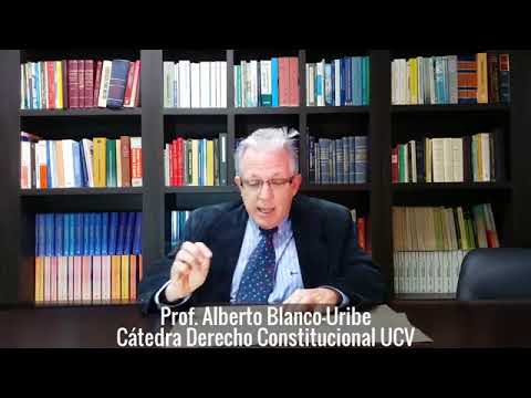 articulos de los derechos humanos en venezuela
