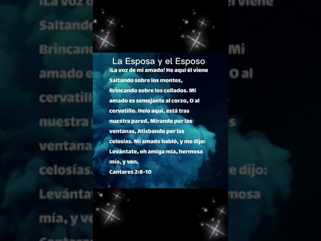 cantar de los cantares 2 8 10