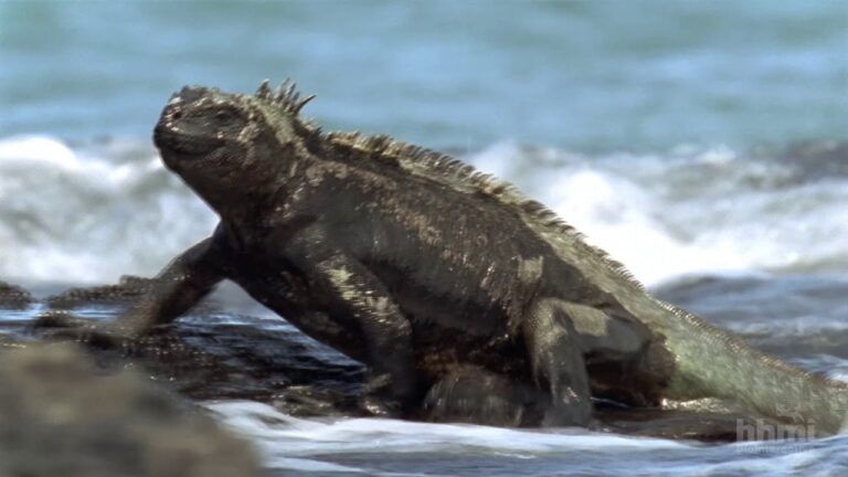 carlos darwin el origen de las especies