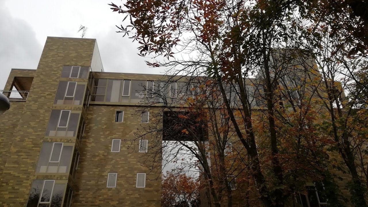 colegio mayor cesar carlos alejandro de la sota