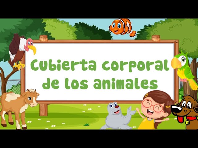 como es el cuerpo de los animales