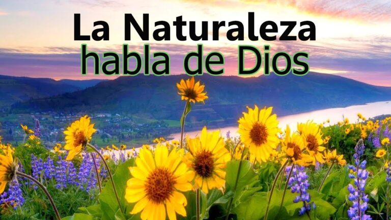 como se manifiesta dios en la naturaleza