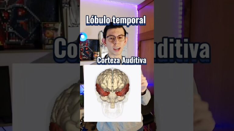 como se utiliza la musica en la medicina