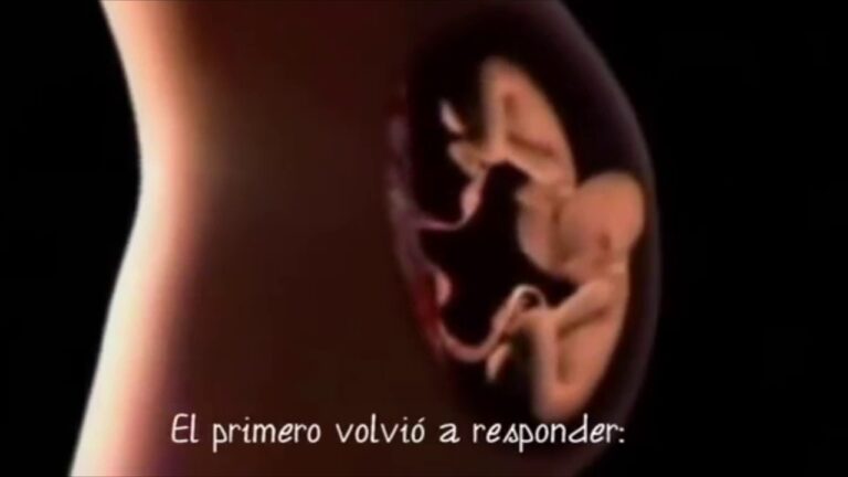 conversacion de dos bebes en el vientre