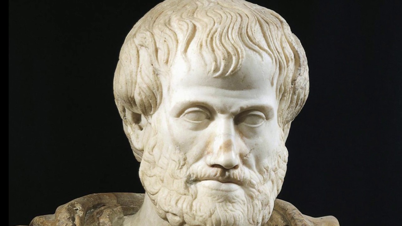 cosas que distinguen a los seres humanos de los animales