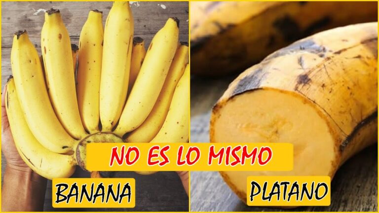 cosas que se parecen pero no son iguales