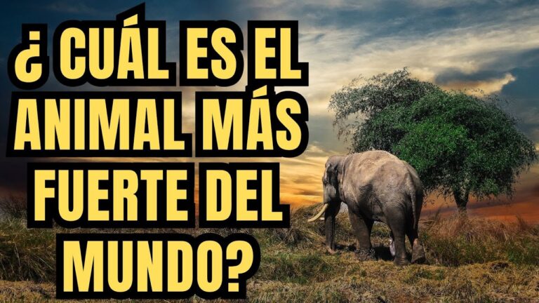 cuál es el animal más fuerte del mundo