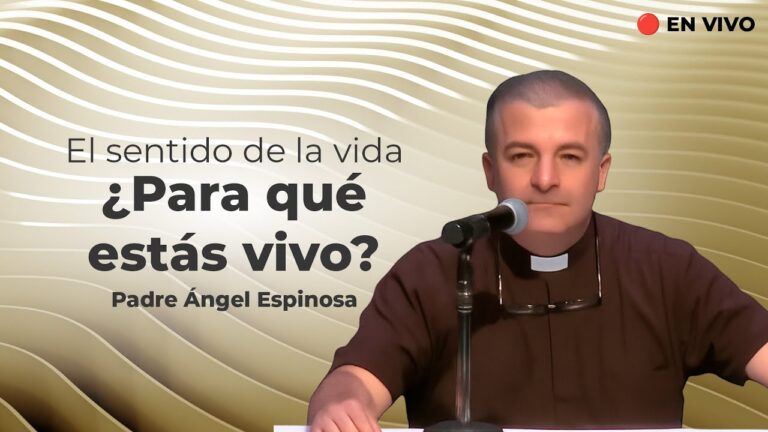 cual es el verdadero sentido de la vida