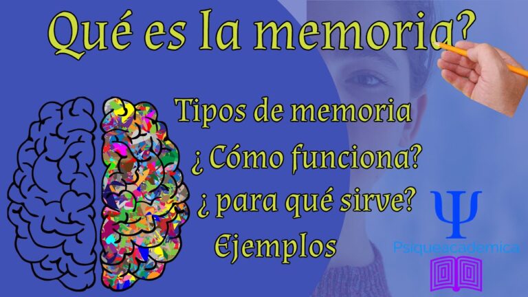 cual es la funcion de la memoria