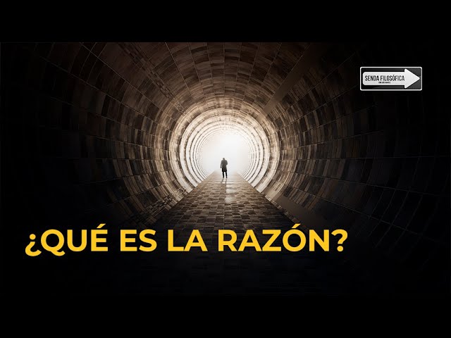 cual es la razon de ser de la filosofia