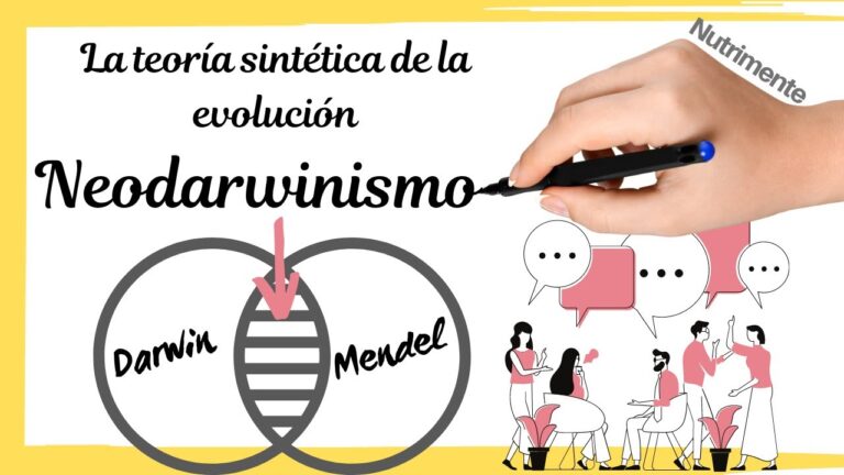 cual es la teoria sintetica de la evolucion