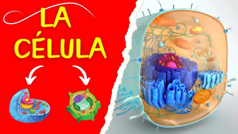 cual es la unidad de la celula