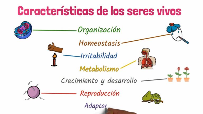 cuales son las caracteristicas de los primeros seres vivos