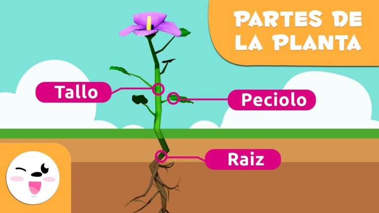 cuales son las partes de la naturaleza
