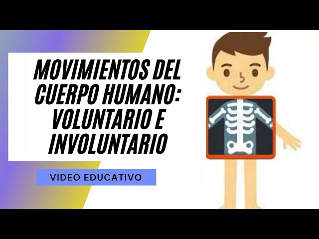 cuales son los movimientos voluntarios e involuntarios del cuerpo humano