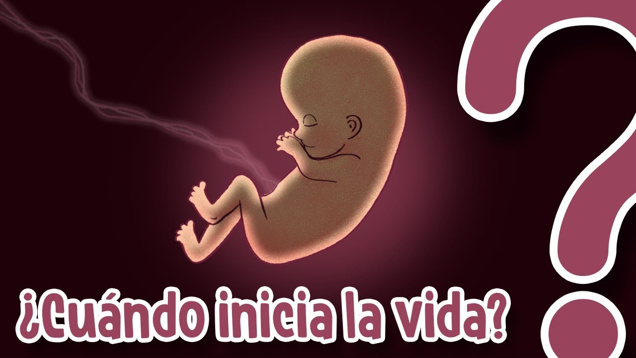 cuando un ser humano comienza a ser persona