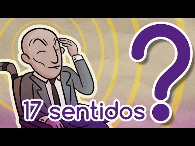 cuantos sentidos existen en el ser humano