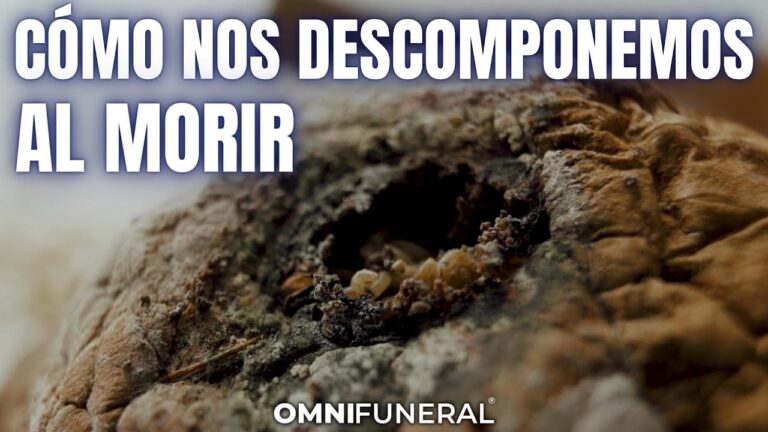 cuerpo humano despues de un mes de muerto