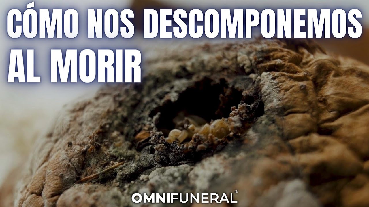 cuerpo humano despues de un mes de muerto