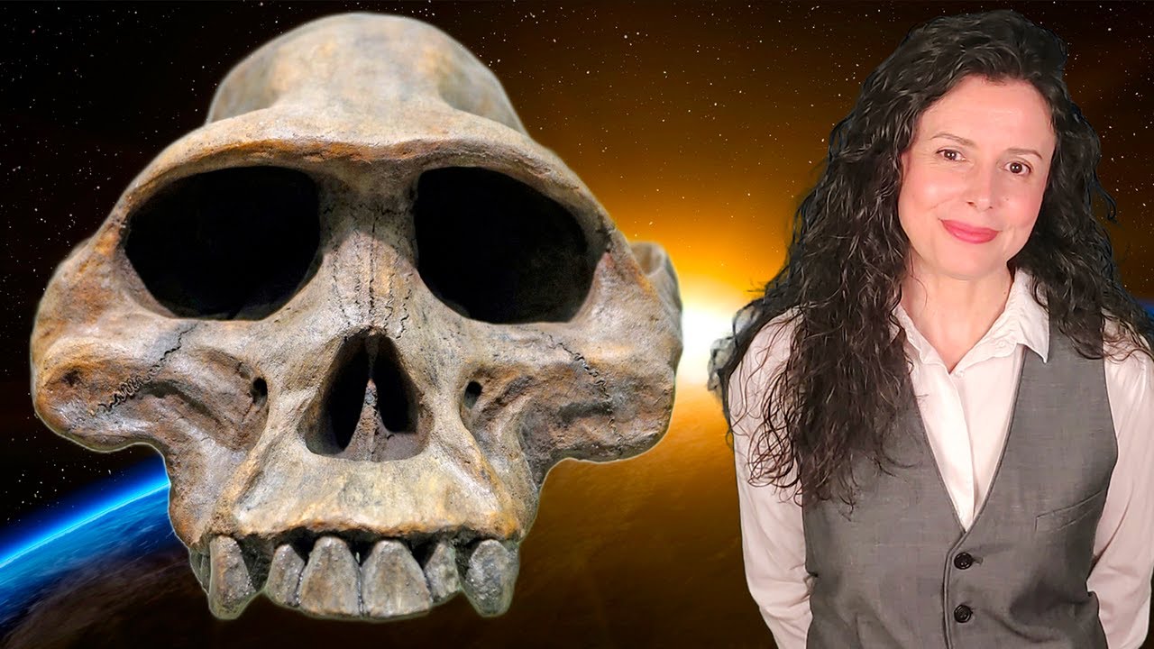 de donde venimos los seres humanos cientificamente