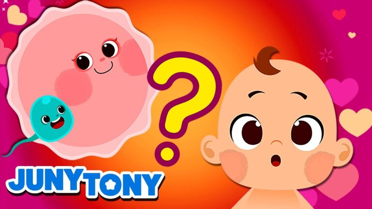 de donde vienen los niños para niños