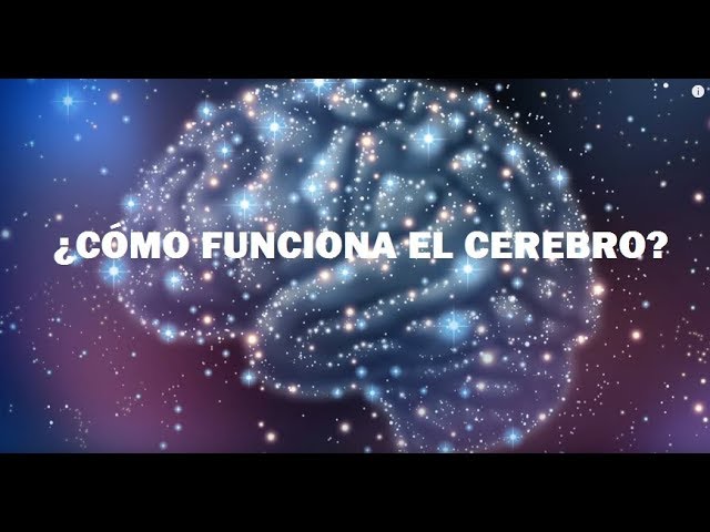 de que es capaz el cerebro humano