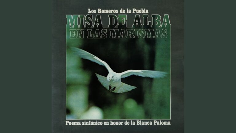 de tanto querer andar se me pararon los pies