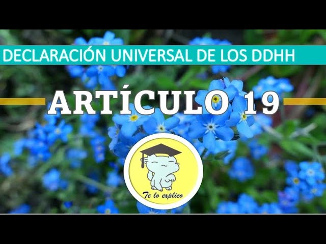 declaracion de los derechos humanos articulo 19