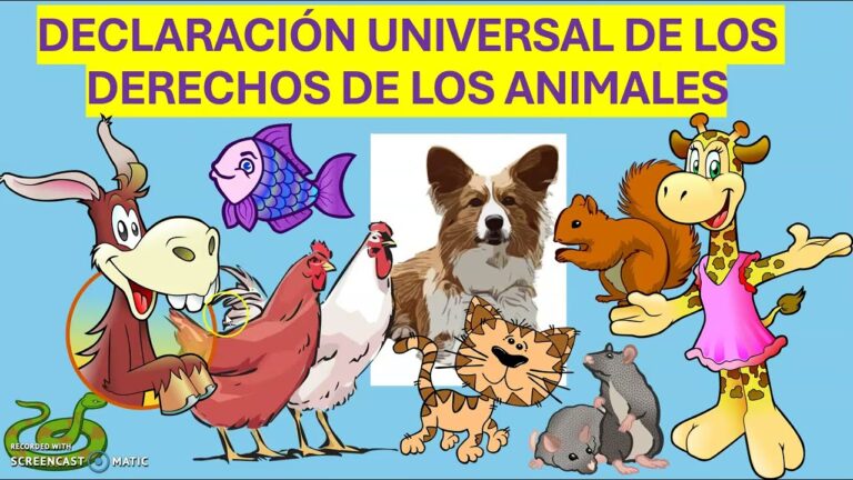 declaracion universal de los derechos de los animales