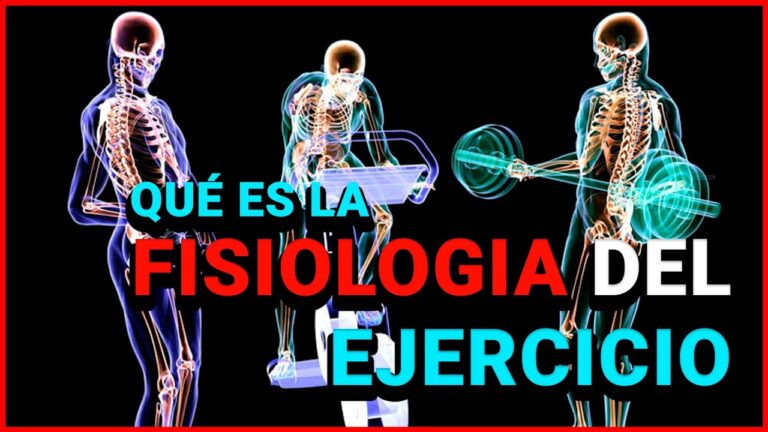 deporte y ciencia teoría de la actividad física