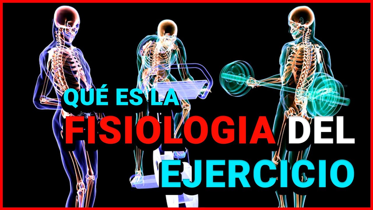 deporte y ciencia teoría de la actividad física