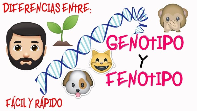 diferencia entre genotipo y fenotipo de un organismo