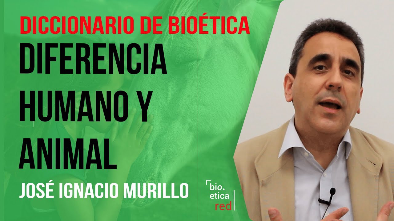 diferencia entre un ser humano y un animal