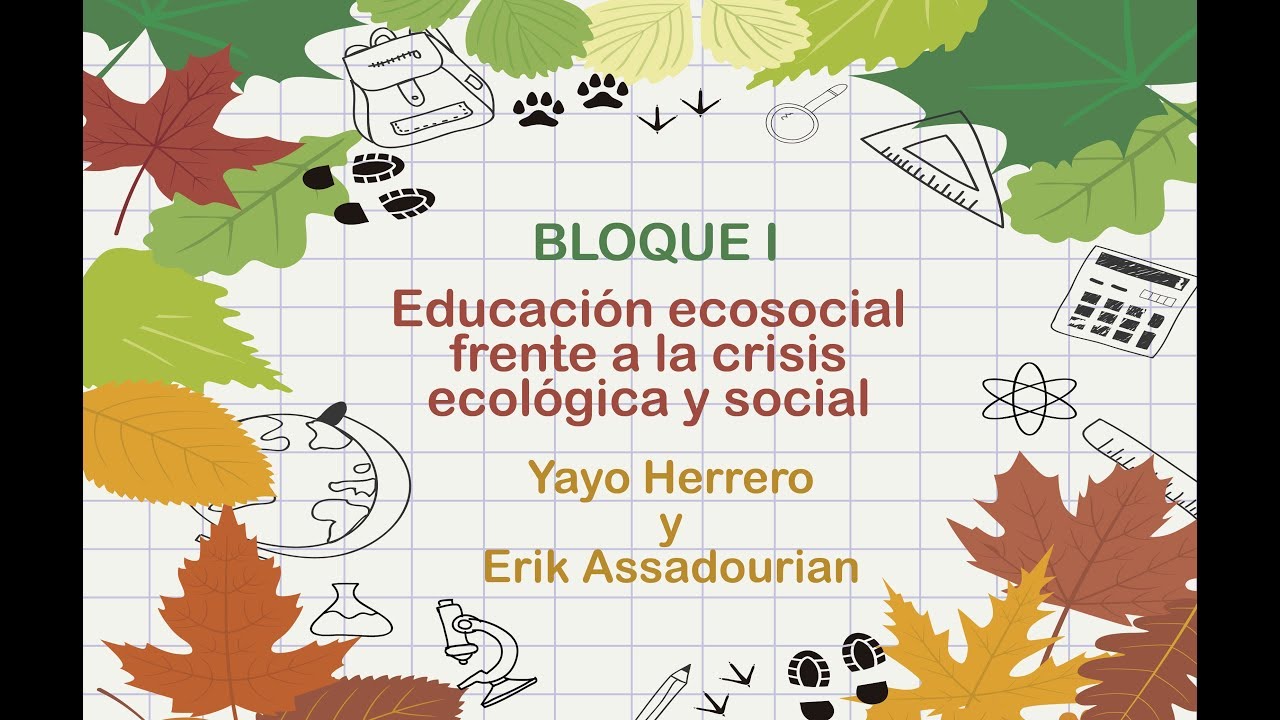 educación ecosocial cómo educar frente a la crisis ecológica