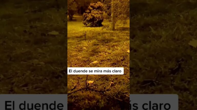 el olivar del bercial nuevos vecinos 2