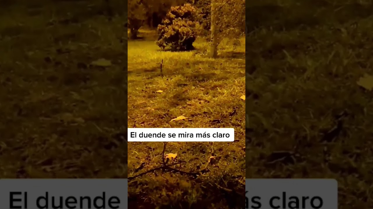 el olivar del bercial nuevos vecinos 2