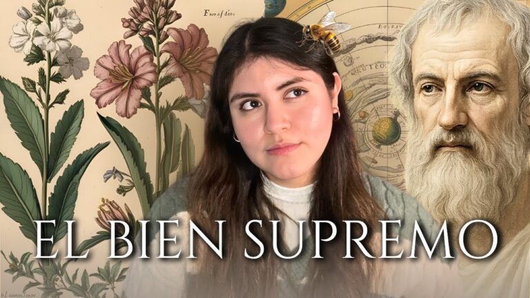 el sentido de la vida segun aristoteles