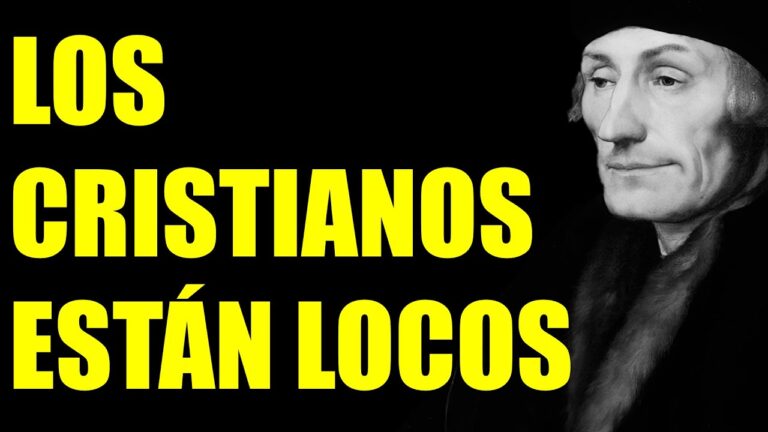 elogio a la locura erasmo de rotterdam resumen