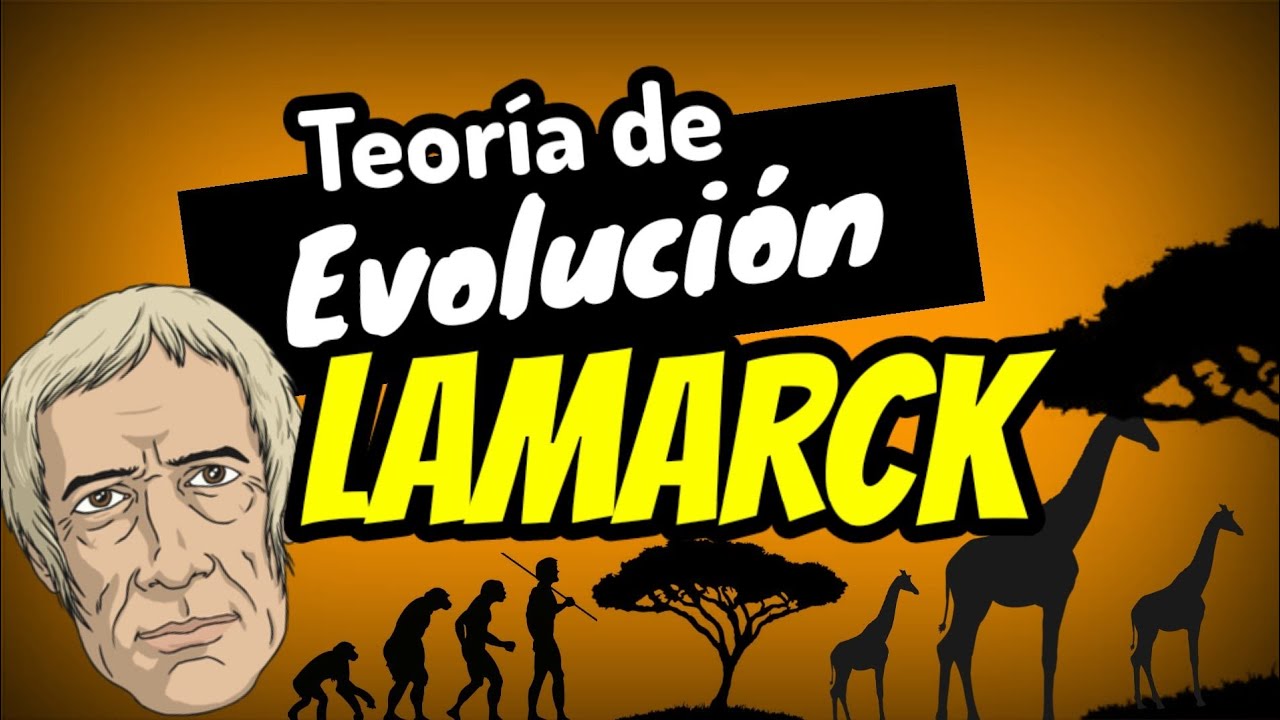 en que consiste la ley del uso y desuso