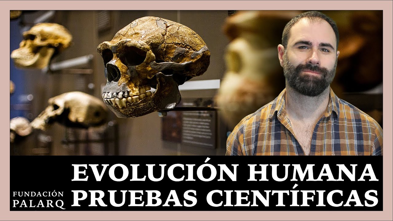en que se basa la teoria de la evolucion