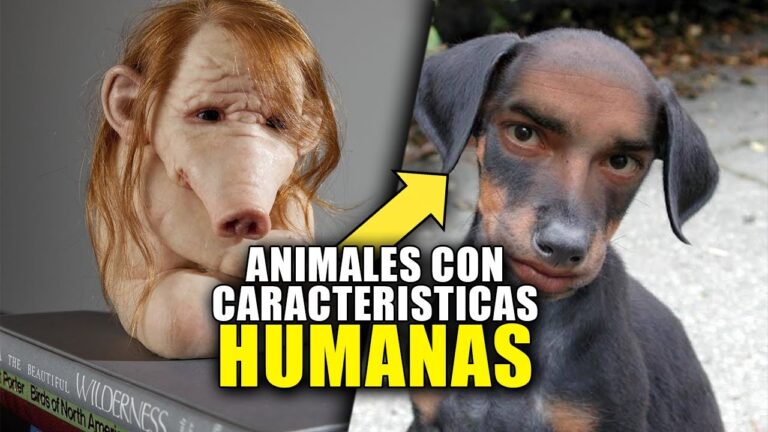 en que se parecen los humanos a los animales