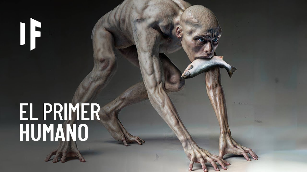 esquema de la evolucion del ser humano