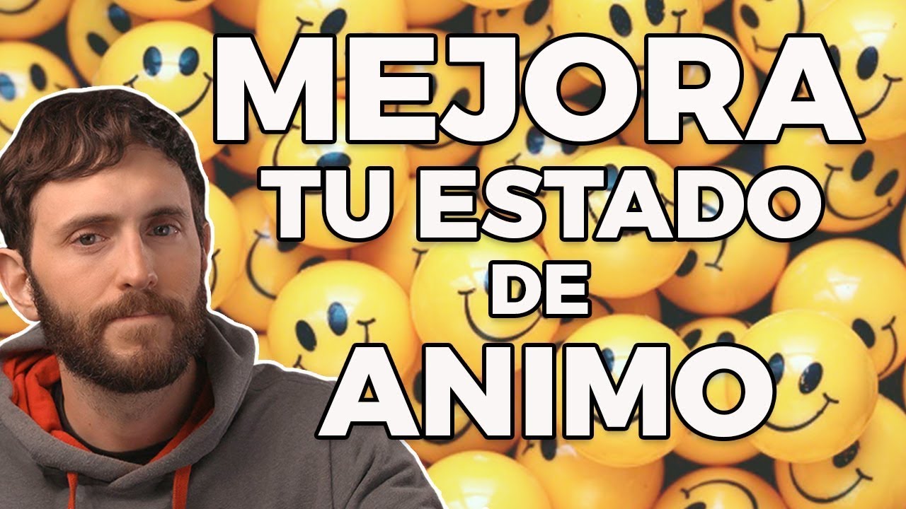 estado de animo que refleja satisfaccion alegria