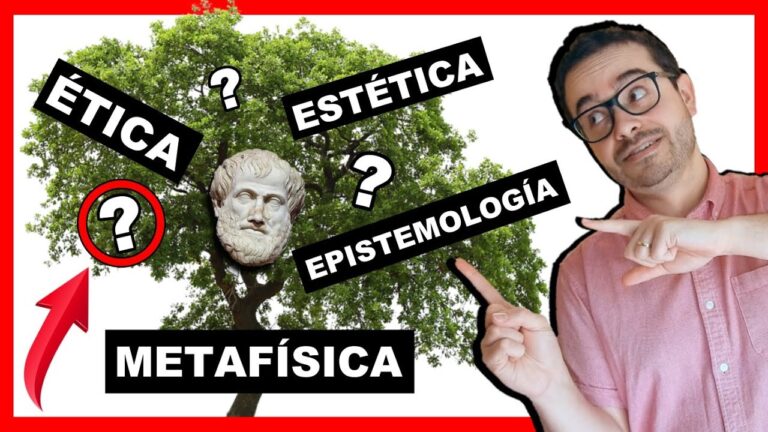 estudio de la filosofia y sus ramas
