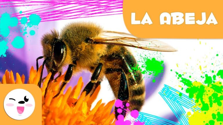 explicacion de la vida de las abejas para niños