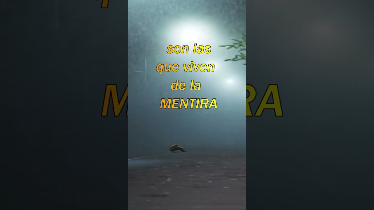 frases celebres sobre la mentira y la verdad