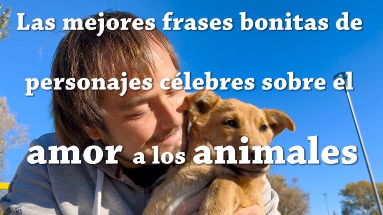 frases de amor a la naturaleza y animales
